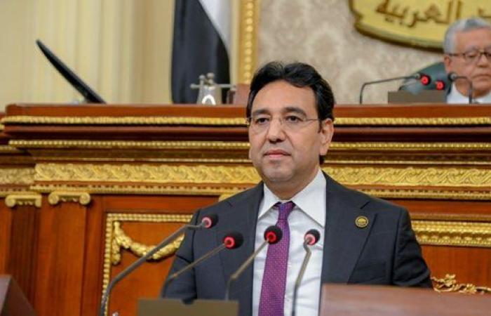 برلمانى : زيارة الرئيس الصومالي لمصر تعكس مكانة القاهرة كركيزة للأمن والاستقرار الإقليمي