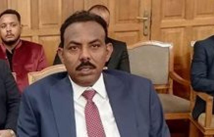 خبير اقتصادي: السودان يحتاج إلى دعم الدول العربية حتى يستعيد عافيته بعد تحرير الخرطوم