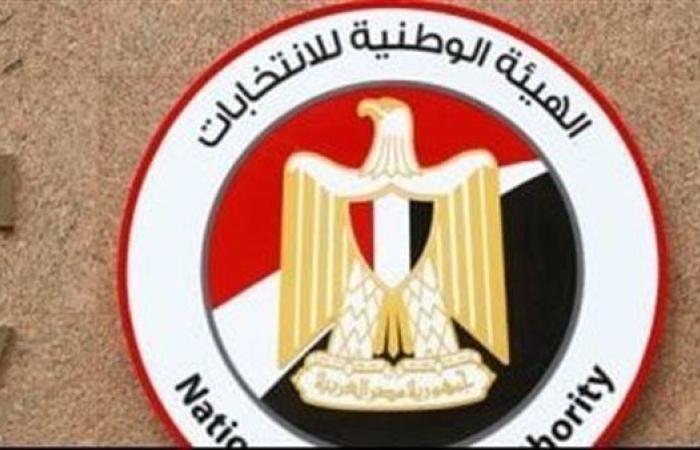 الهيئة الوطنية للانتخابات تشكل لجان رصد مخالفات دعاية انتخابات مجلس الشيوخ