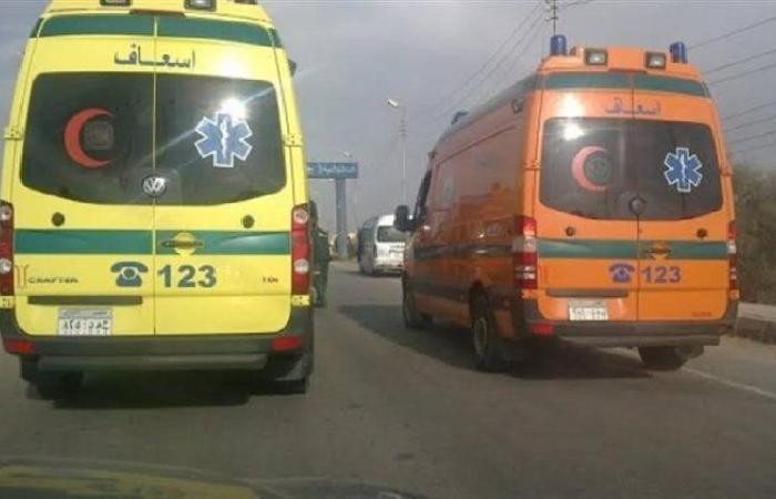 دهسته سيارة مسرعة.. حبس المتهم بالتسبب في مصرع شخص بـ عين شمس