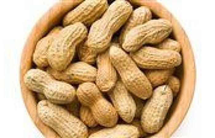 بالبلدي: هل
      يمكن
      أن
      يساهم
      العلاج
      في
      التخلص
      من
      الحساسية
      ضد
      الفول
      السوداني؟