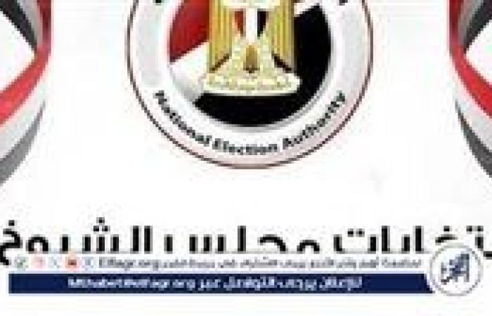 موقف المنتقبة من التصويت خلال انتخابات مجلس الشيوخ.. القانون يجيب
