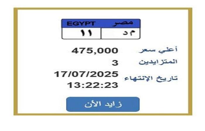 سعرها اقترب من الـ «نصف مليون جنيه».. مزايدة نارية على لوحة سيارة مميزة