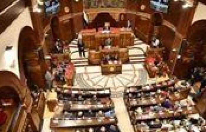 أخبار الهيئة الوطنية للانتخابات.. إعلان القائمة ...