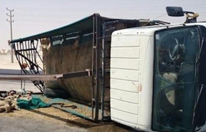 إصابة شقيقين أثر انقلاب سيارة بطريق بورسعيد - الإسماعيلية