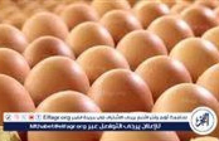 اسعار البيض اليوم السبت 19-7-2025 في محافظة الدقهلية