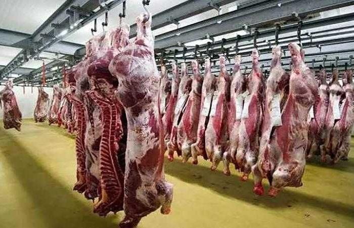 أسعار اللحوم الحمراء اليوم الأحد