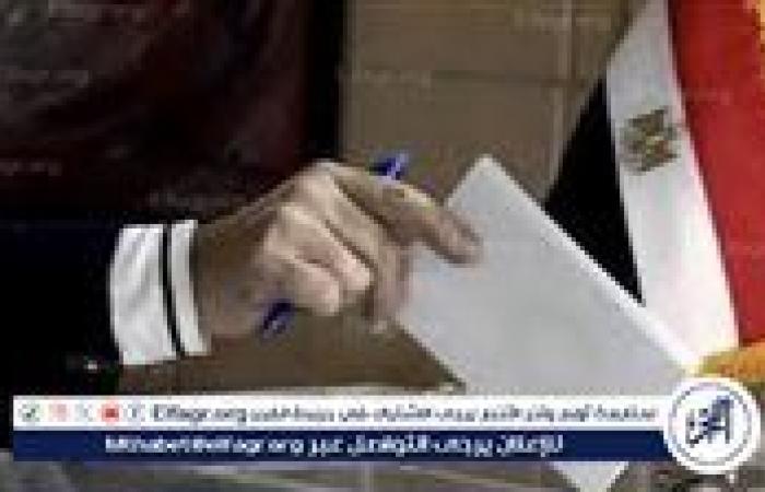 عاجل - الهيئة الوطنية تعلن انتهاء موعد التنازل عن الترشح لانتخابات مجلس الشيوخ