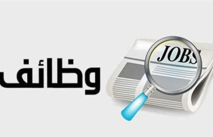 وزارة العمل تُعلن عن وظائف خالية برواتب مجزية