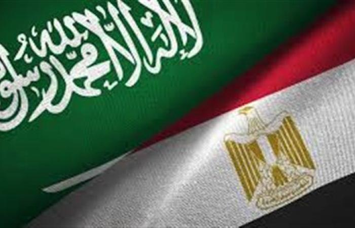 عضو بالجمعية السعودية للاقتصاد: مجلس التنسيق يعزز التجارة والاستثمار مع مصر
