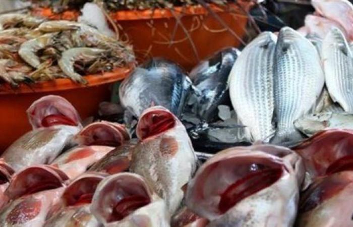 أسعار السمك اليوم 20 يوليو 2025 داخل الأسواق المحلية ومنافذ التموين