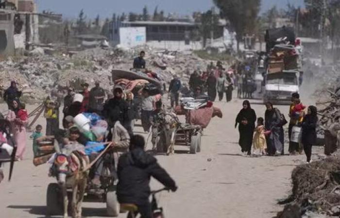 متحدث «اليونيسف»: ما يحدث في غزة مشين.. وآلاف الأطفال يعانون من الجوع