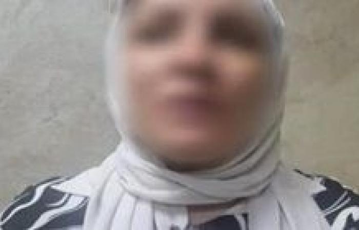 ضبط صانعه محتوى لقيامها بالتشهير والإساءة للمسئولين بجهة حكومية بالجيزة