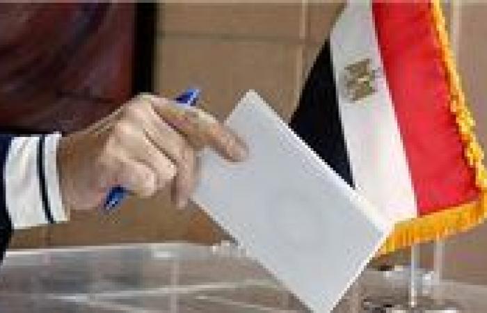 خلي بالك القلم الرصاص يبطل صوتك.. أفعال تجنبها عند التصويت في انتخابات مجلس الشيوخ 2025