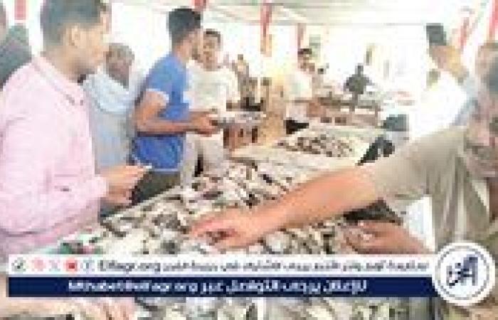 أسعار السمك اليوم الثلاثاء 22-7-2025 في محافظة قنا