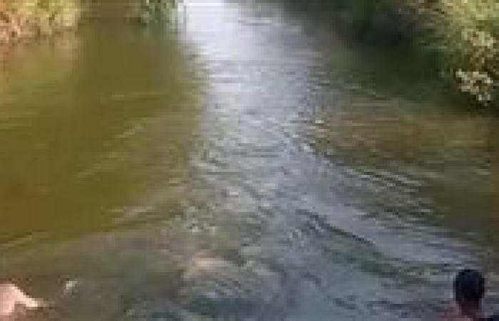 مصرع طفلين غرقا أثناء السباحة في بحر ابو المير في الفيوم