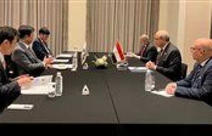 وزير الطيران يبحث مع نظيره الكوري التعاون بمجالات النقل الجوي