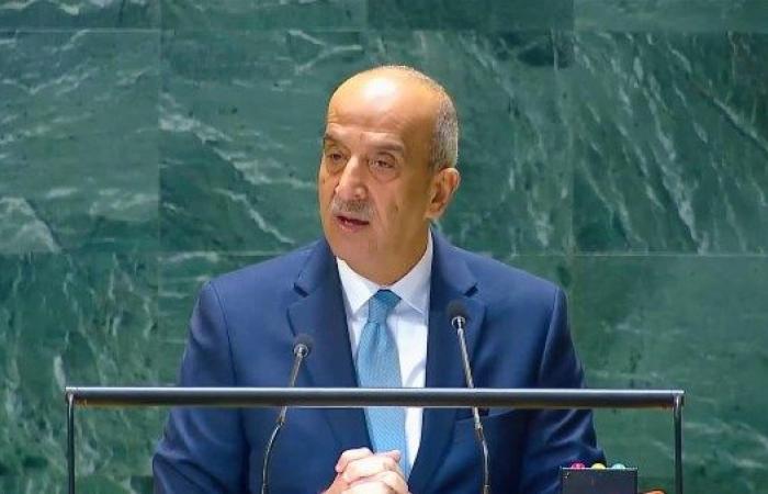 مندوب مصر بالأمم المتحدة: مصر ترفض مقترح نقل الفلسطينيين إلى "المدينة الإنسانية"