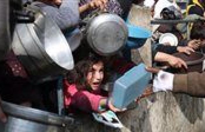الوضع هو الأسوأ.. الجوع وسوء التغذية في غزة يبلغان مستويات غير مسبوقة