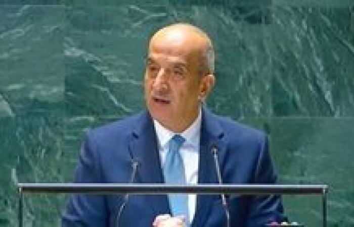 مندوب مصر بالأمم المتحدة: مصر ترفض مقترح نقل الفلسطينيين إلى "المدينة الإنسانية"