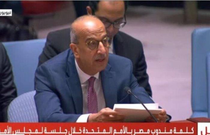 مندوب مصر بالأمم المتحدة: استمرار إسرائيل انتهاك سيادة الدول العربية خطر على الأمن الجماعي إقليميا ودولياً