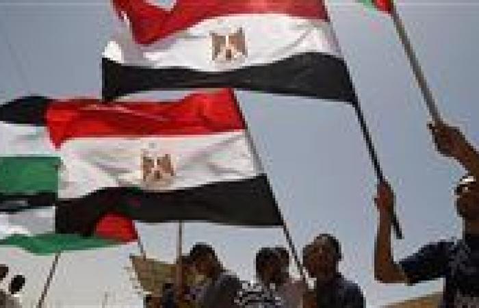 خبير استراتيجي يوضح أهداف بعض الجهات من تشويه الدور المصري في القضية الفلسطينية