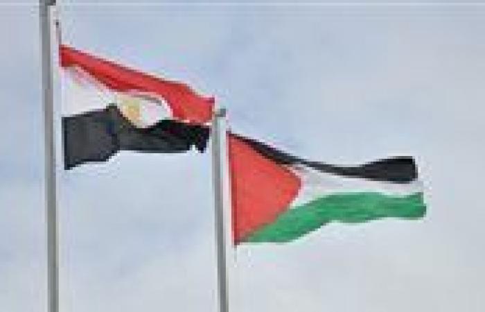 لماذا يتم التشكيك في الدور المصري تجاه القضية الفلسطينية؟ محلل سياسي يوضح