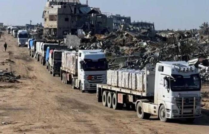 مصدر مصري للقاهرة الإخبارية: دخول 161 شاحنة مساعدات إلى غزة منذ الأمس