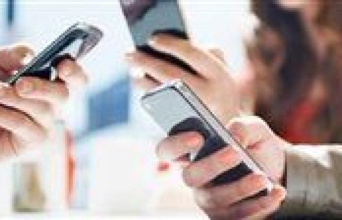 شعبة المحمول: نثمن جهود الدولة في تنظيم حوكمة دخول واستيراد أجهزة التليفون المحمول
