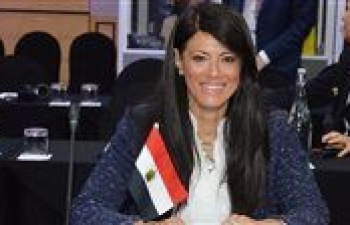 مصر تشارك في صياغة وإطلاق الإعلان الوزاري لمجموعة عمل التنمية بمجموعة العشرين