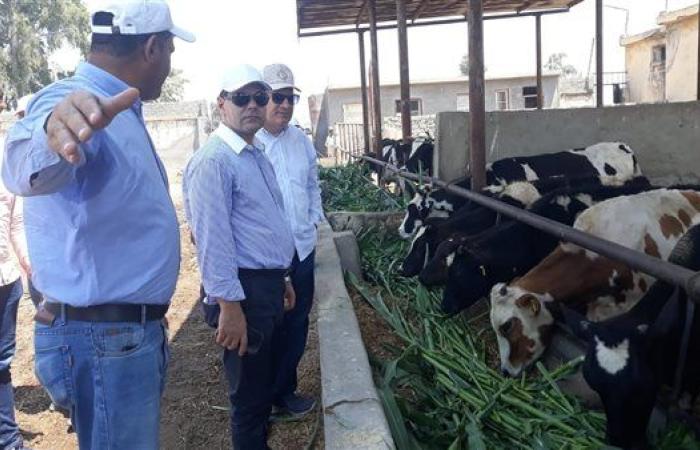 رئيس البحوث الزراعية يتابع برامج المحاصيل الحقلية وإنتاج التقاوي ببحوث "سخا"