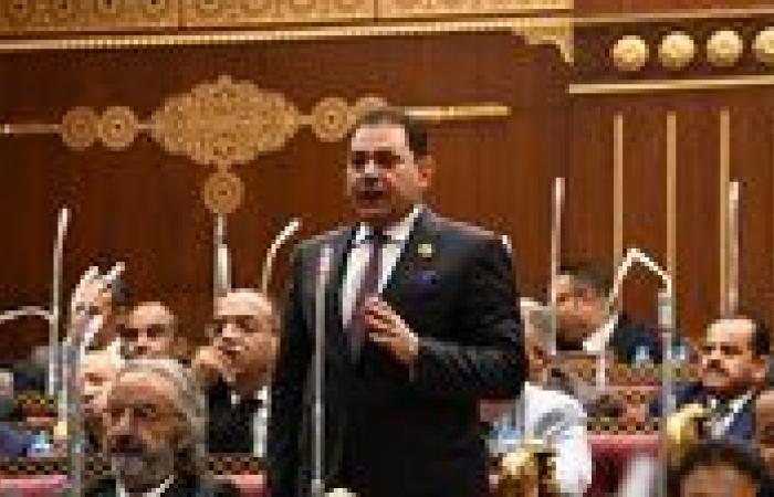 النائب فرج فتحي: الإخوان يضللون الرأي العام ويحاولون تشويه دور مصر في دعم القضية الفلسطينية