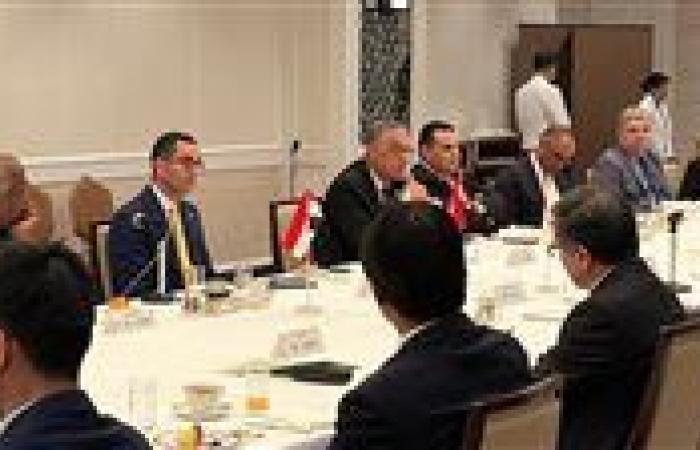 مصر واليابان تبحثان التعاون بمشروعات الطاقة المتجددة وتطویر محطات الریاح والموانئ اللوجستیة