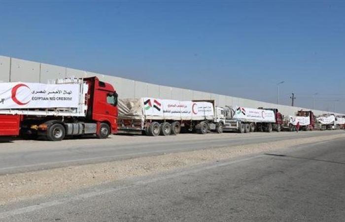 جهود مصرية كبيرة لإدخال المساعدات الإنسانية والإغاثية للفلسطينيين.. 35 ألف شاحنة مساعدات عبر المعابر منذ 2023