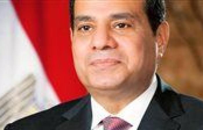 الرئيس السيسي يوجه بالاسراع في توطين صناعة البتروكيماويات والتعدين