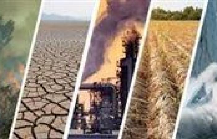 مواجهة التحديات البيئية في مصر والعالم|استراتيجيات وحلول