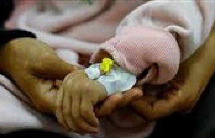 الهلال الأحمر المصري: نركز في المرحلة المقبلة على توفير لبن الأطفال لأهالي غزة