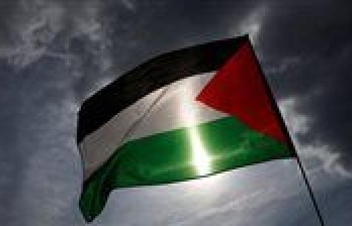 اعتراف فرنسا بدولة فلسطين.. كيف ينظر الفلسطينيون إلى القرار؟