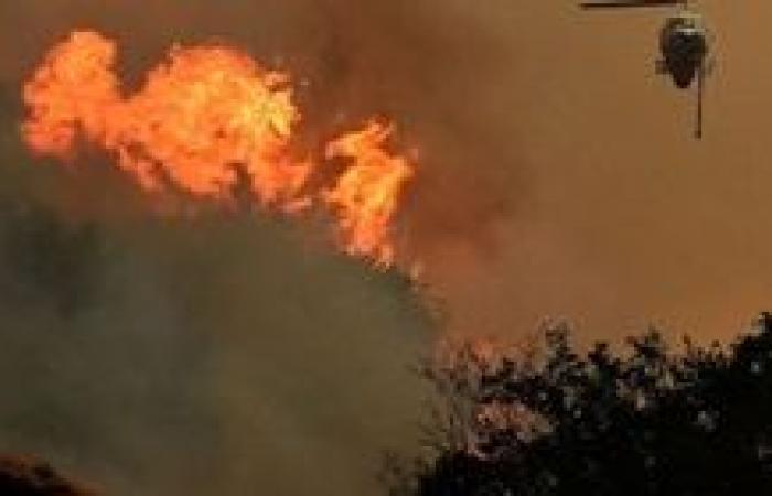 "معركة النار": كيف تُدار حرب خفية لإخماد حرائق الغابات في إسبانيا؟