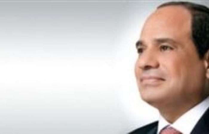 الرئيس السيسى يؤكد أهمية مشروعات البتروكيماوت والصناعات التعدينية