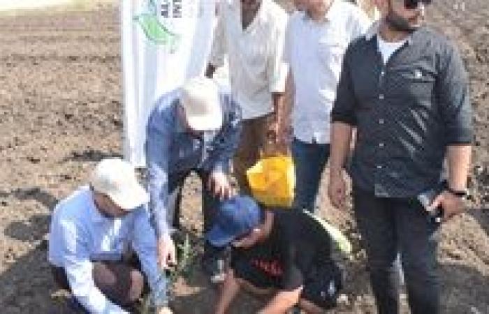 رئيس جامعة بنها يزرع 1000 شتلة زيتون بكلية الزراعة بمشتهر