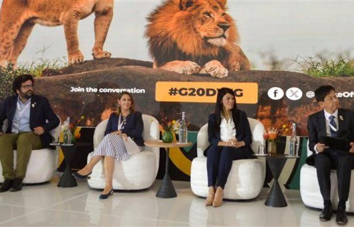 المشاط: منصات الاستثمار الوطنية أداة محورية لتسريع التنمية وجذب التمويلات المناخية