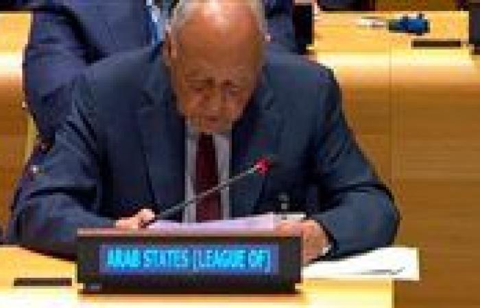 أبو الغيط يشارك في الجلسة الحوارية للمؤتمر الدولي لحل فلسطين وإسرائيل