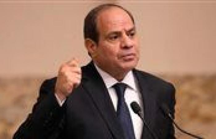 الرئيس السيسى: حرصنا على المشاركة الإيجابية فى حرب غزة من خلال 3 نقاط