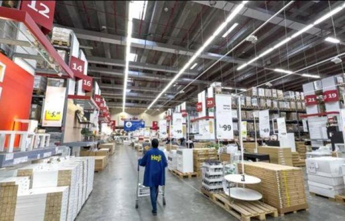 إزاي تقدر تشتغل بـ500 دينار شهريا في الأردن؟.. فرصة عظيمة للمصريين