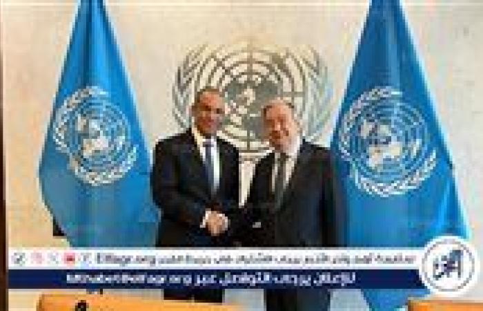 وزير الخارجية يلتقي غوتيريش لبحث التسوية بفلسطين وإعمار غزة ومياه النيل