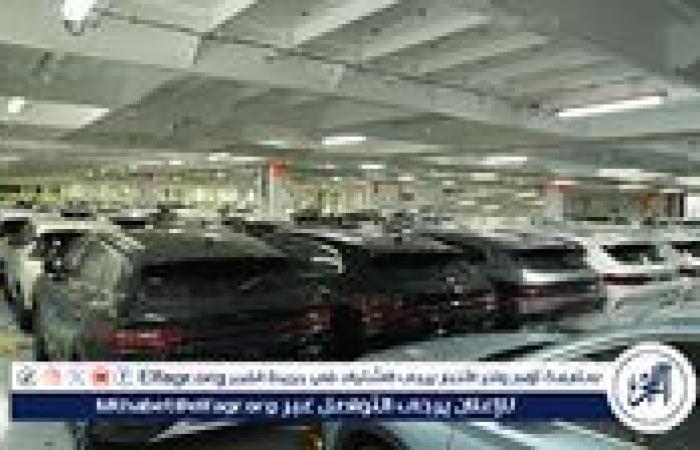 الحكومة: مستعدون لحوافز "خارج الصندوق" لتوطين صناعة السيارات الكهربائية
