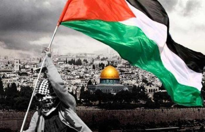 أستاذ علوم سياسية: فلسطين قضية أمن قومي بالنسبة لمصر.. وقضية داخلية