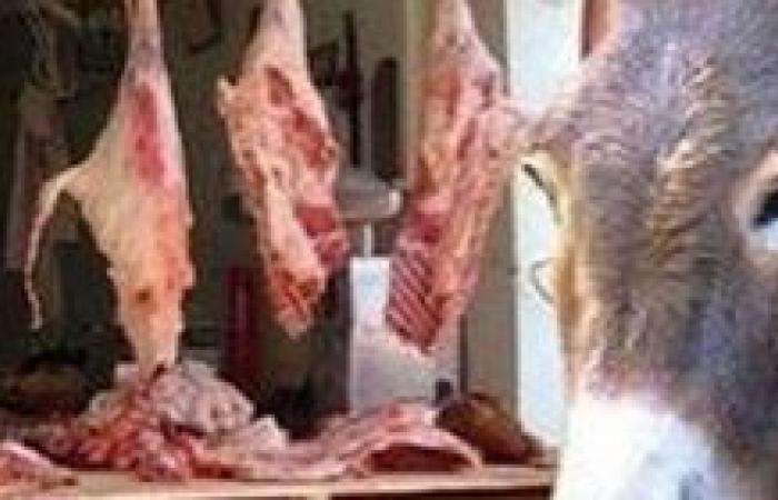 كشف حقيقة العثور علي بقايا لحوم حمير وخيول في مقلب مقامه بالاسكندريه