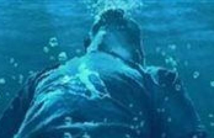 الإنقاذ البحري يتمكن من انتشال جثمان شاب غرق بشواطئ العجمي في الإسكندرية